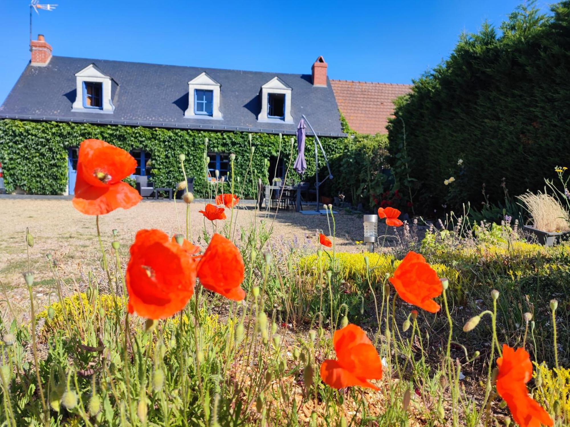Le Clos Champetre Longué 외부 사진